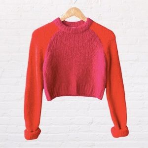 Aritzia | Wilfred Free Colorblock Crop Sweater